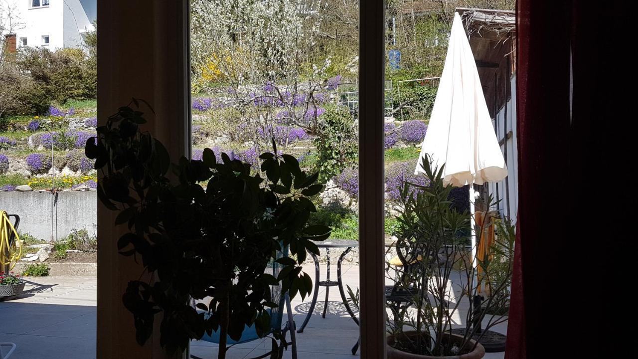 Ferienwohnung Haus Wunderlich Sigmaringen Exterior foto